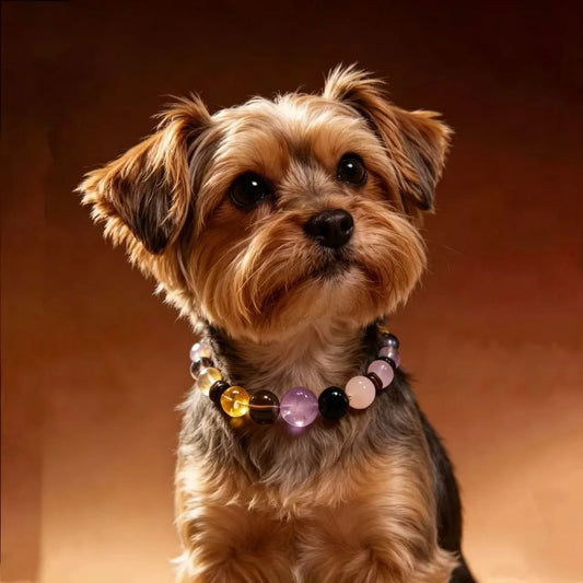 Natural Crystal Healing Dog Collar for Everyday Wear