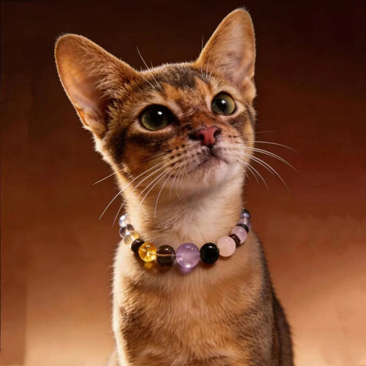 Healing Crystal Cat Collar for Cats | Adjustable PU Leather Safety Collar by XipoGem